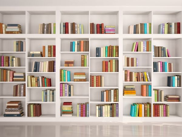 Bookshelf Assembly in Norfolk
