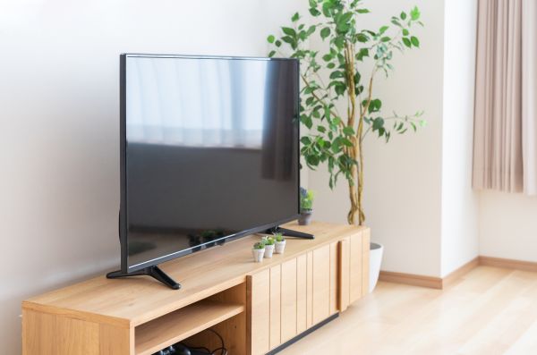 TV Stand Assembly in Norfolk